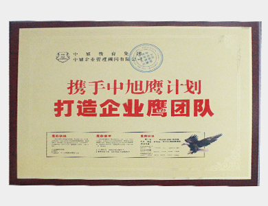 攜手中旭英計(jì)劃打造企業(yè)鷹團(tuán)隊(duì).png